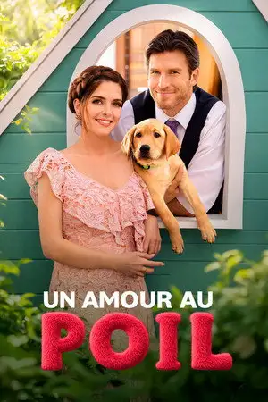 Un amour au poil – affiche