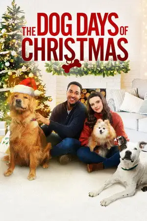 Avec toi pour Noël - Est-ce que je crois au coup de foudre ? Absolument, je tombe amoureux de tous les chiens que je croise ! – affiche