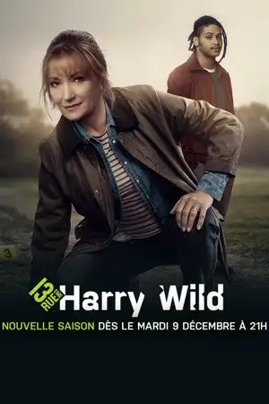 Harry Wild - Saison 1 - Personne ne sortira d'ici vivant – affiche
