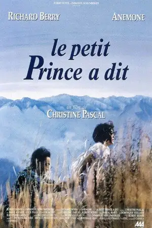 Le petit prince a dit – affiche