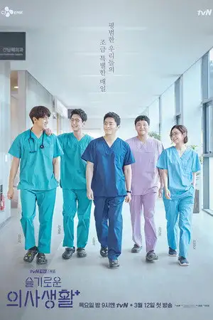 Hospital Playlist – affiche